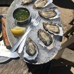 Point Reyes National Seashore