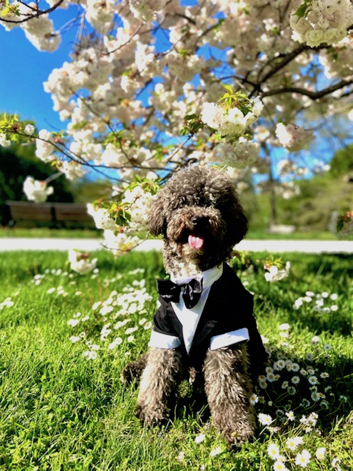 The Wedding Website of Alexa Melucci and Mackenzie Neumaier