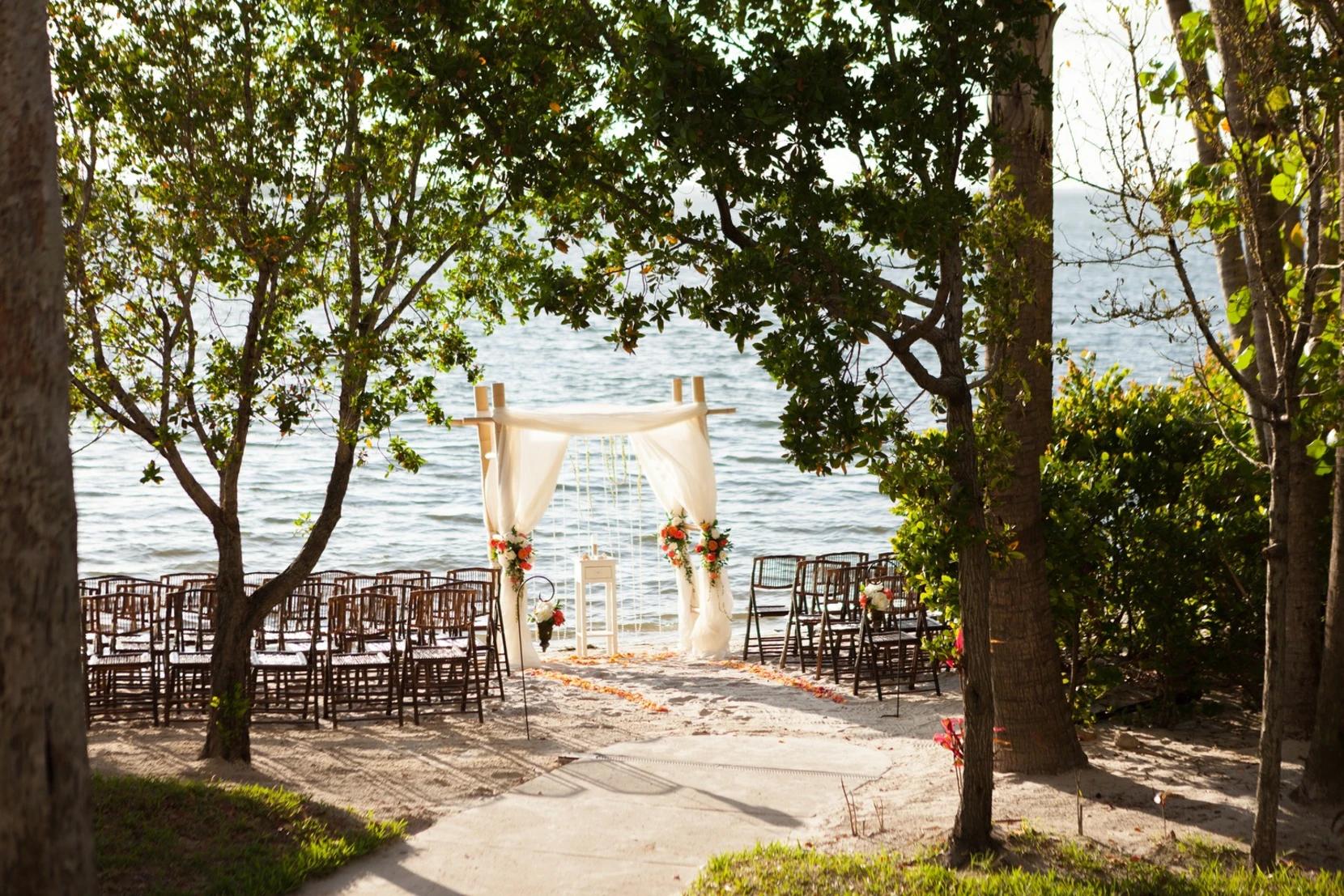 The Wedding Website of Alicia Rodriguez and Austin Harrington
