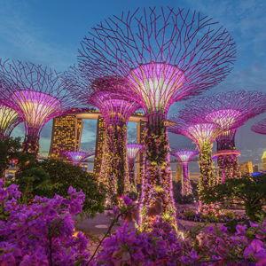 2 Tickets to Gardens by the Bay - Singapore