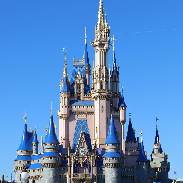 A Day at Disney
