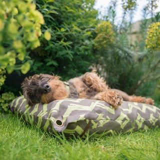 Chevron Outdoor Pet Bed