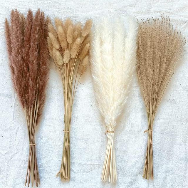 Yefloneda 100 Pcs Dried Pampas Grass Decor, Pompous Grass with 30 Pcs White and Original Pampas Grass, 50 Pcs Dried Bunny Tails and 20 Pcs Reed Grass Bouquet for Home Decor, Wedding Bohu Flowers