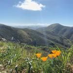 Marin Headlands