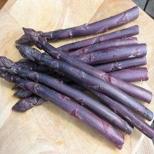 Asparagus Patch - Purple Passion