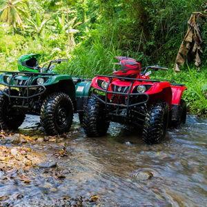 Island ATV Tour