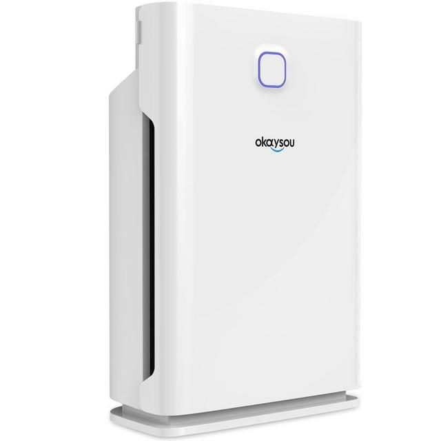 Okaysou AirMax 10L Pro Smart Air Purifier with H13 HEPA Three Filters, Auto and Eco Mode, Higher Grade Home Air Cleaner, Remove 99.97% Dust, Pet Hair, Pollen, Smoke, Odor, VOCs, Extra-Large Room