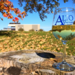 Alto Vineyards Champaign