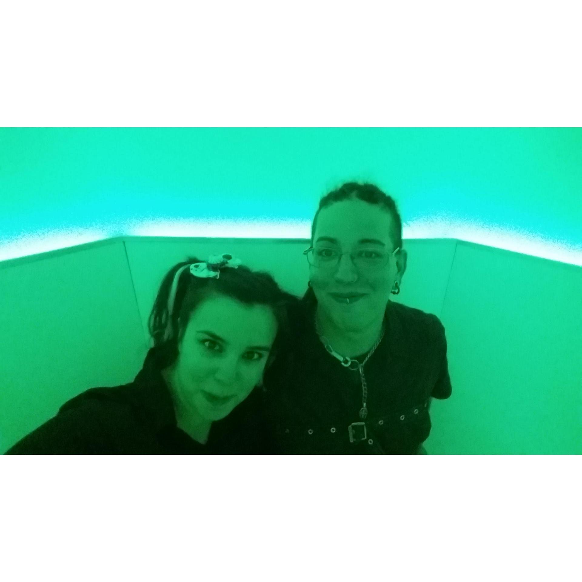 Meow Wolf