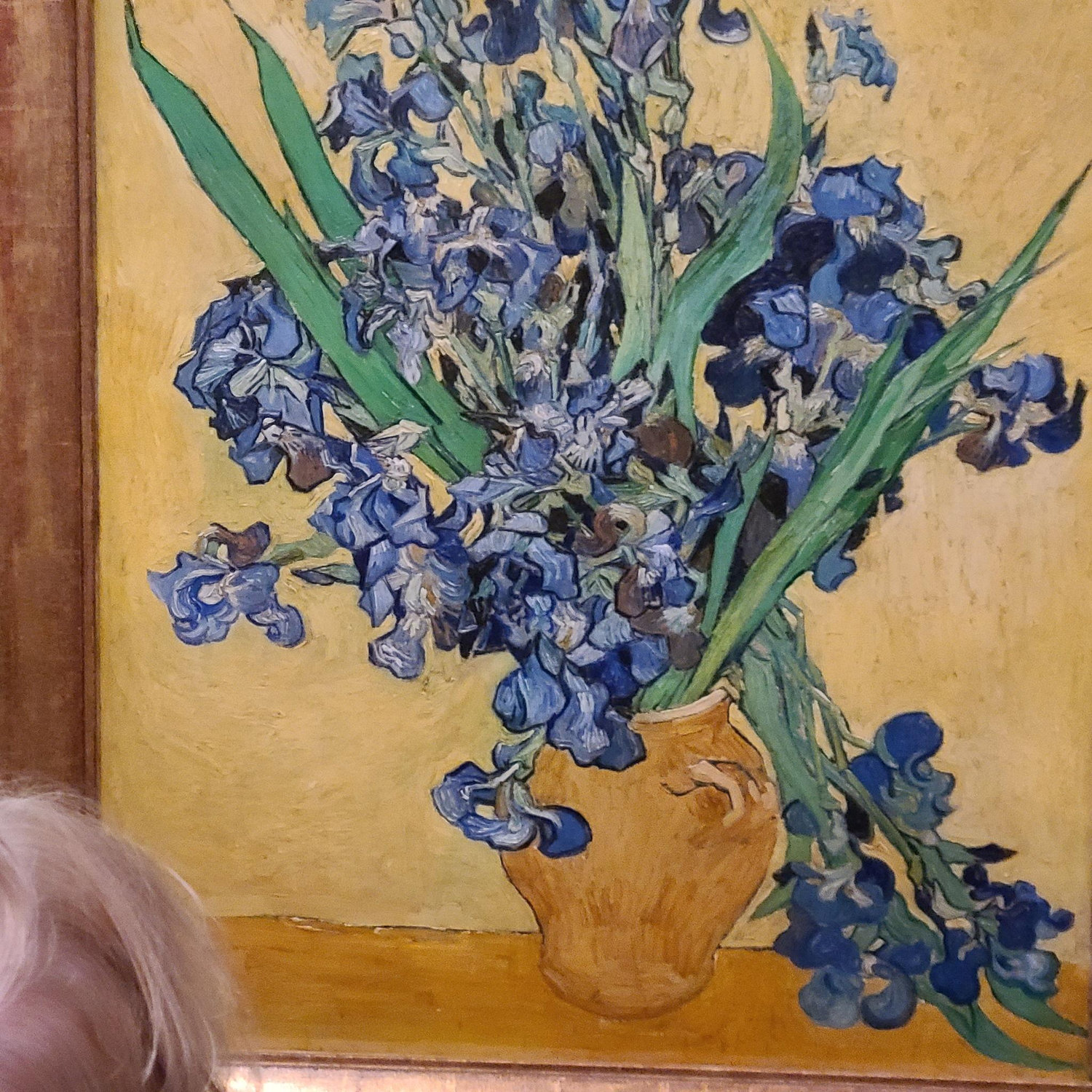 "Iris" by Van Gogh