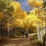 Meyer Ranch Park