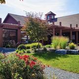 Anyela's Vineyards