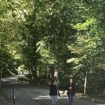 The Swamp Rabbit Trail