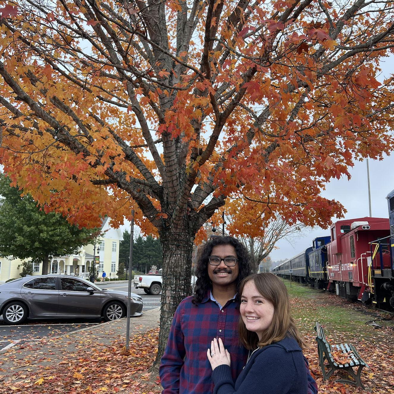 Blue Ridge train