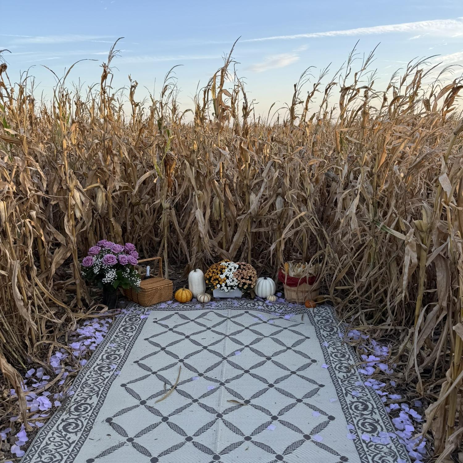 Lesa and Taneile’s handiwork at the proposal spot.