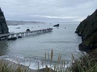 Trinidad State Beach