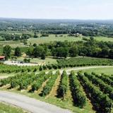 Bluemont Vineyard