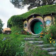 New Zealand Adventures