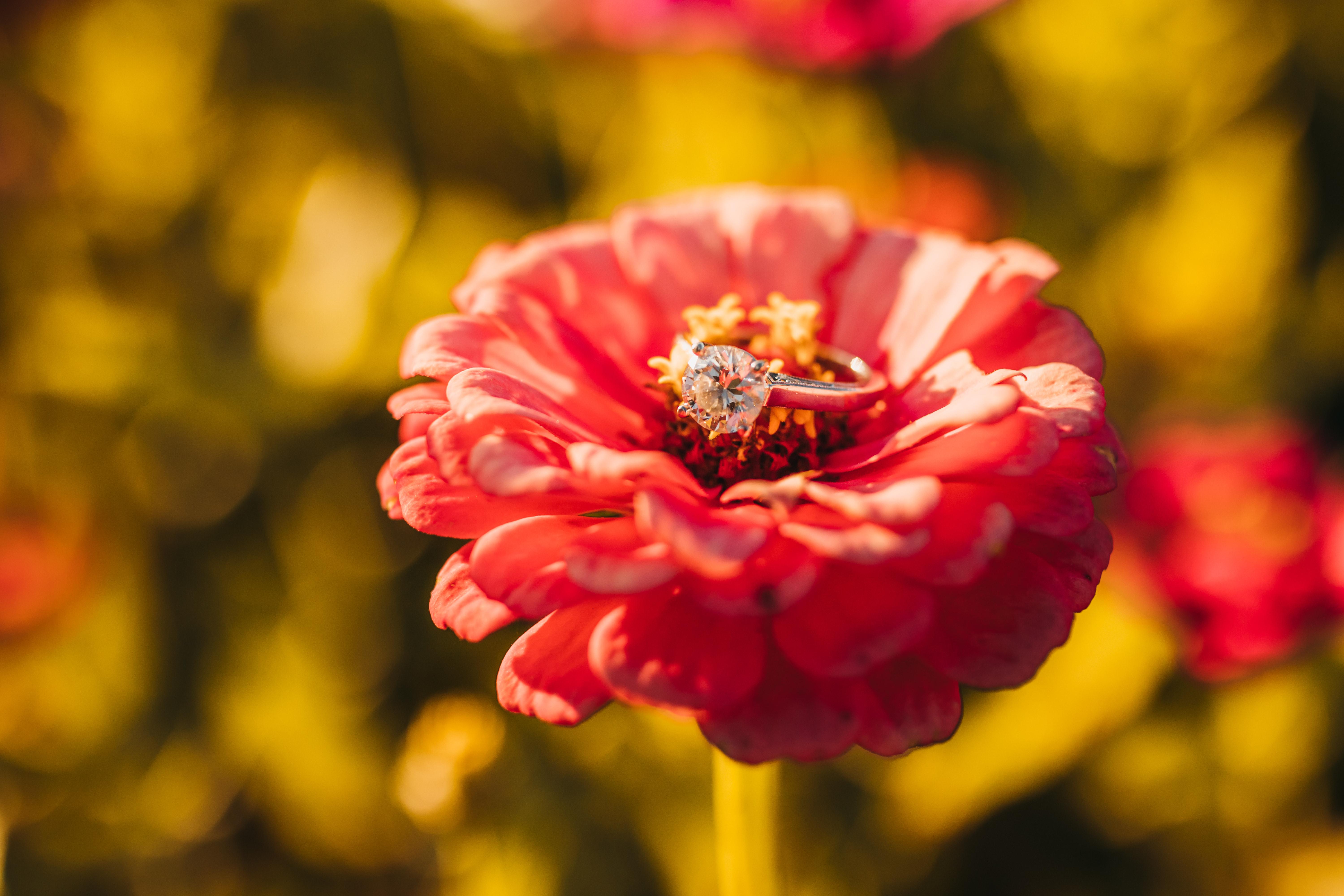 5623809c-6df3-4ab5-b1ac-88ec84d90976