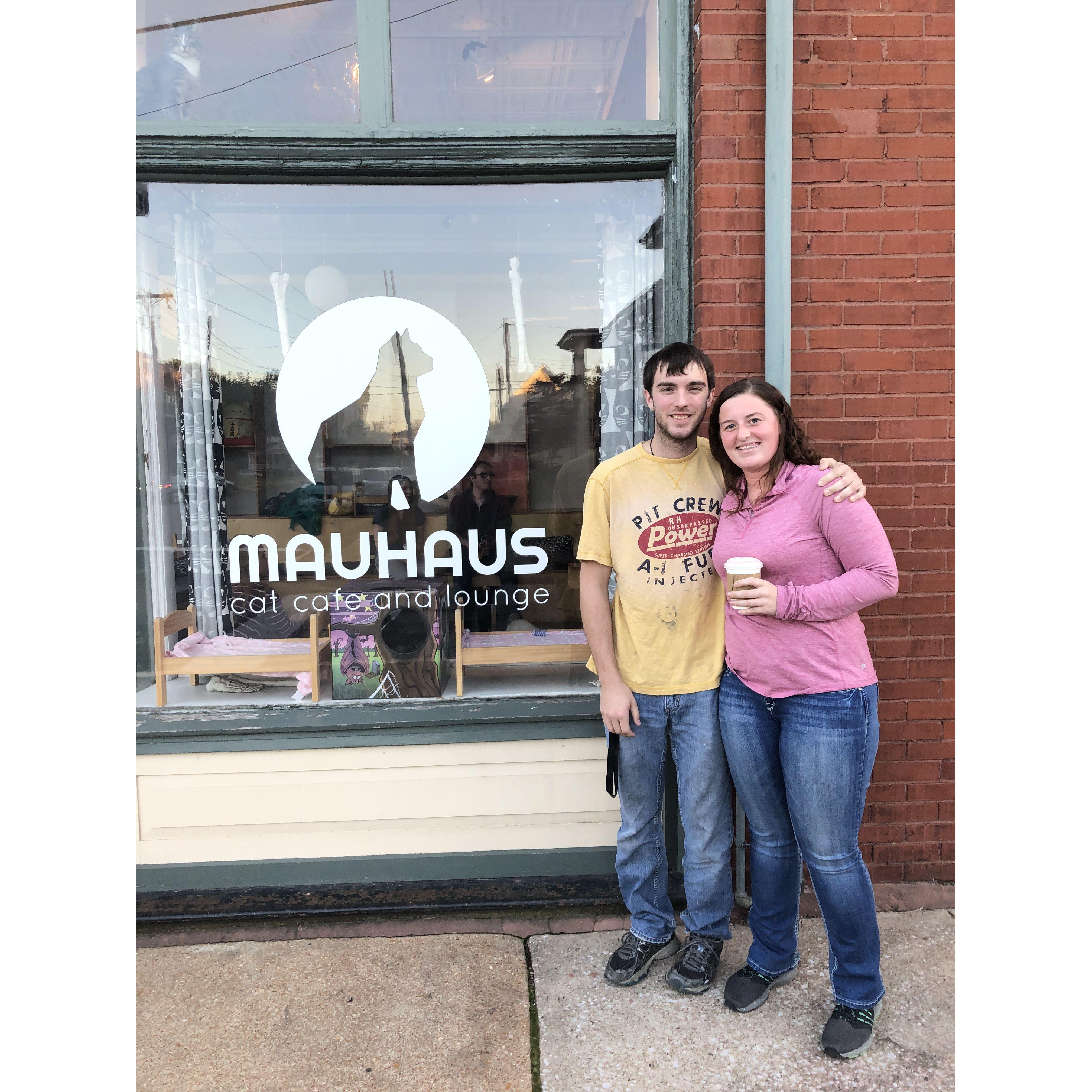 Cat Cafe in Missouri