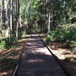 Audubon Bird Sanctuary