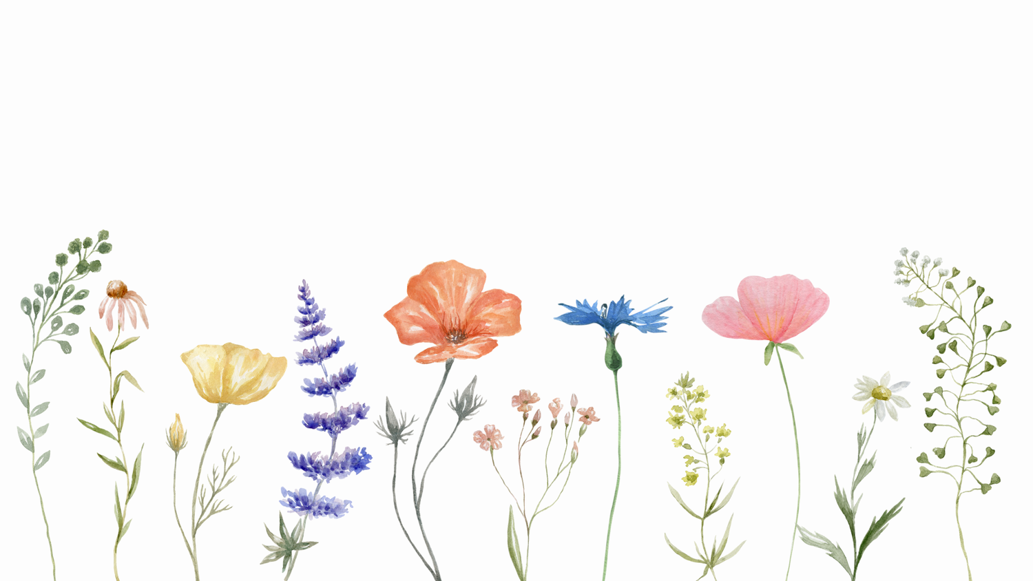 The Wedding Website of Robyn Maycock and Thomas Villiers