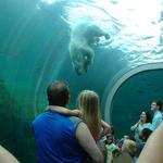 Columbus Zoo and Aquarium