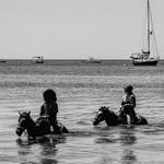 Horseback Riding on the Beach