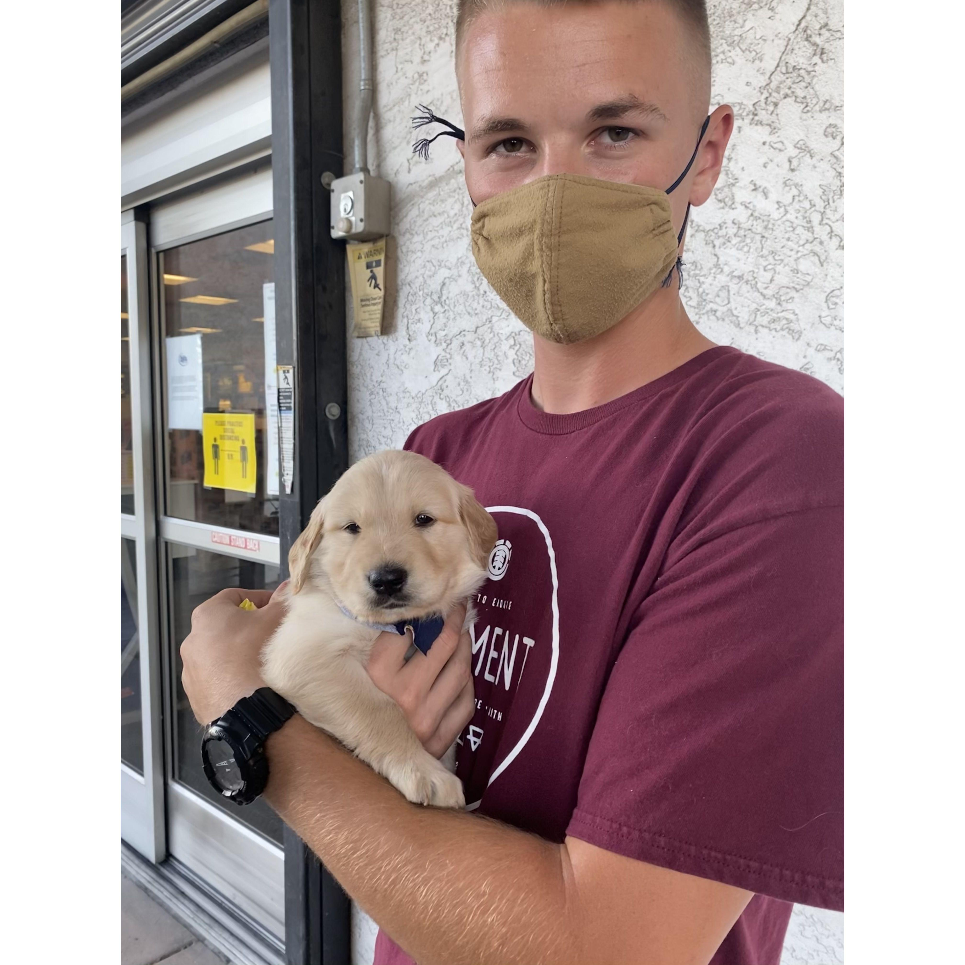 Getting our second puppy, Milo!