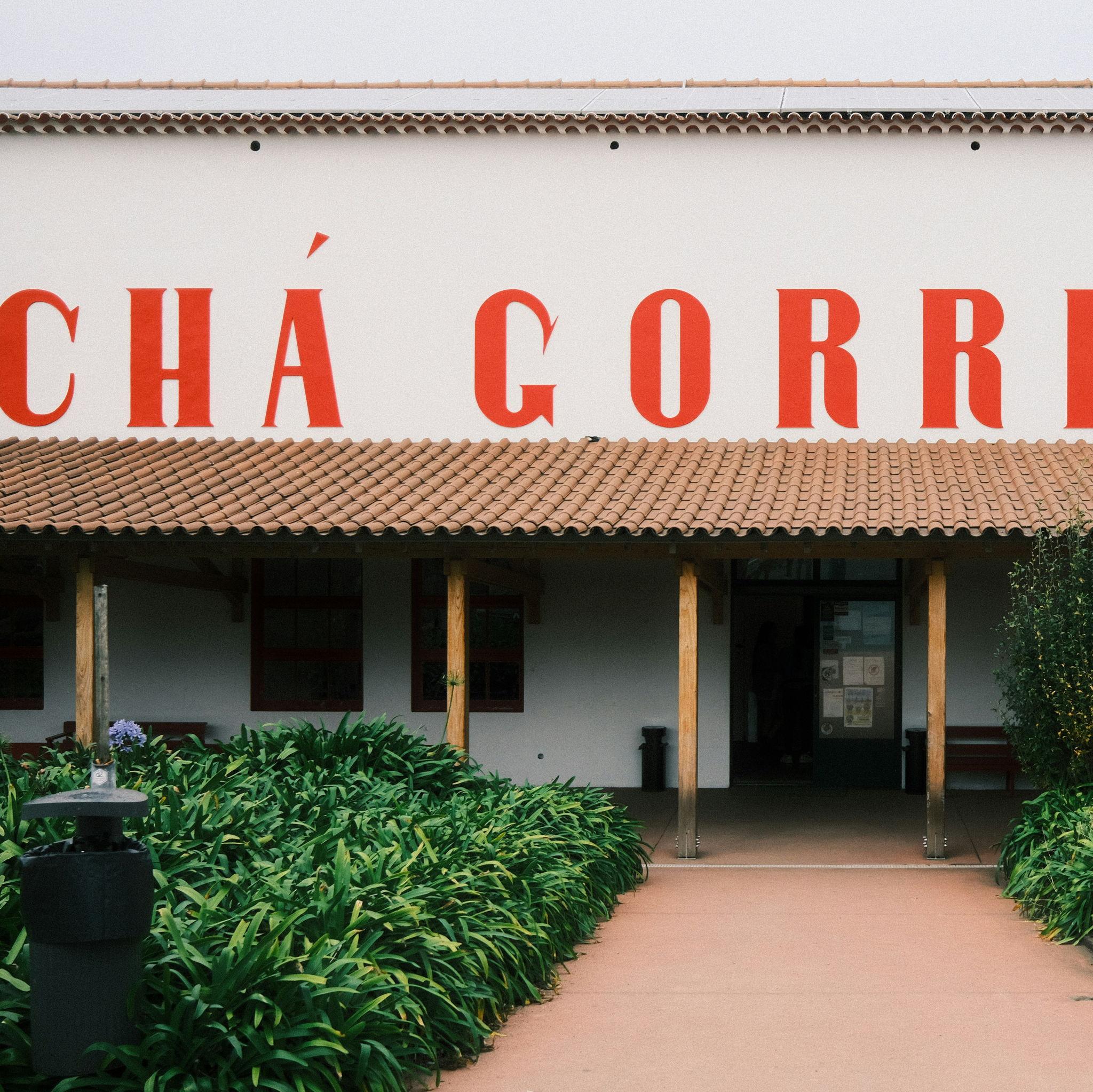 Chá da Gorreana (biggest tea factory in Europe)