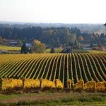 Portland Wine Bar & Winery Tasting Room