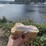 Backyard Bagel