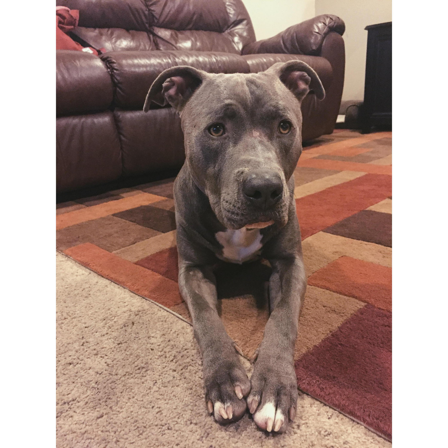 We Adopted our baby boy- April 14th 2016
