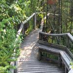 Grass River Natural Area