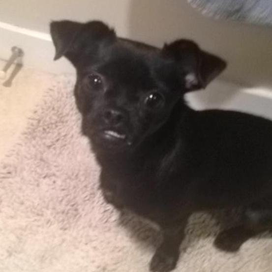 Adopted Lila 2013