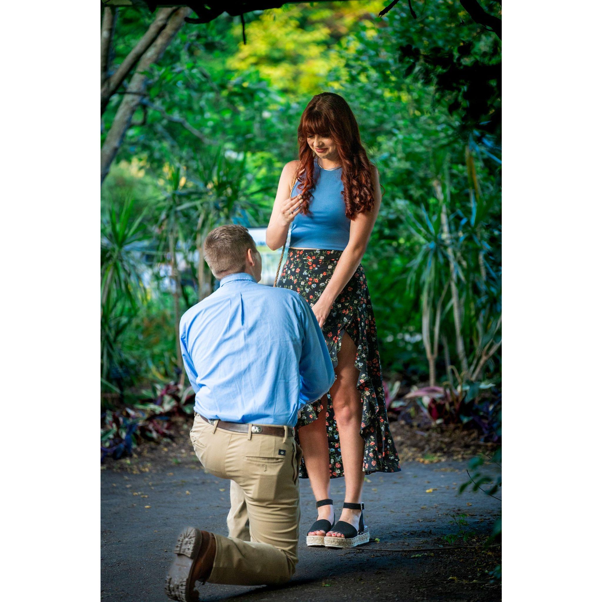 He finally popped the question!