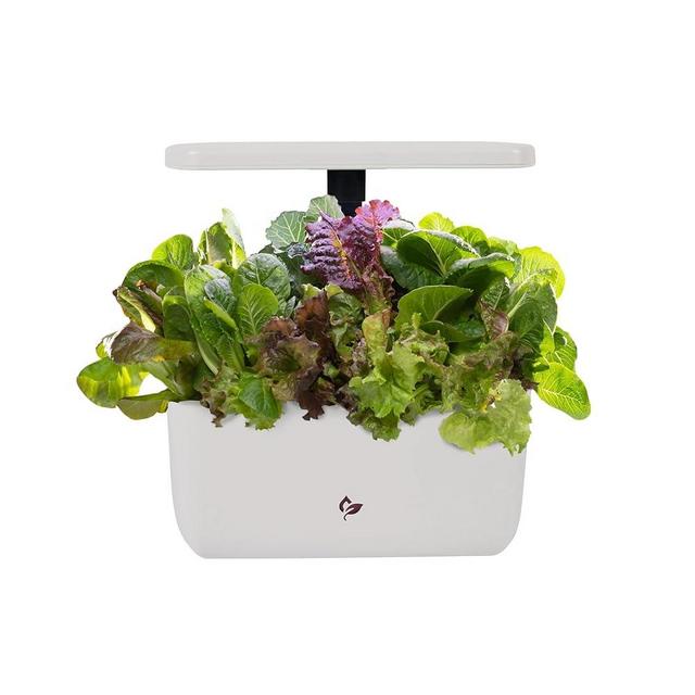 AeroGarden Harvest 2.0, Indoor Garden Hydroponic System with LED Grow Light, Holds up to 6 AeroGarden Pods, Cream