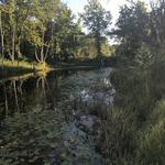 Sterling Forest State Park