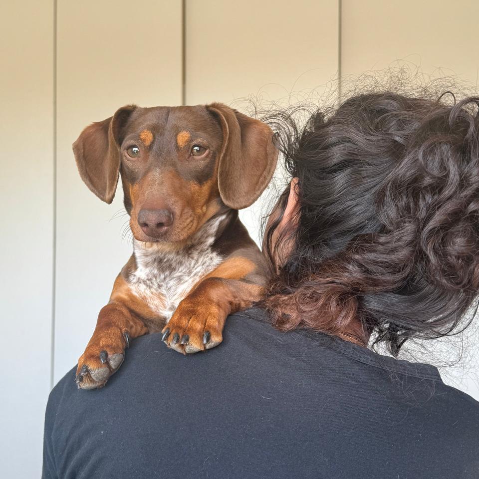 Oh how he loves the shoulders!