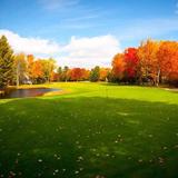 Loon Golf Resort