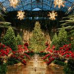 Longwood Gardens