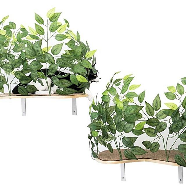On2Pets Cat Furniture Canopy Shelves for Climbing, Playing and Relaxing