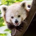 Indianapolis Zoo