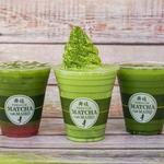 Matcha Cafe Maiko