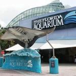 The Florida Aquarium
