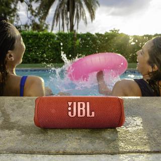 Flip 6 Portable Waterproof Speaker