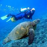 Scuba Diving