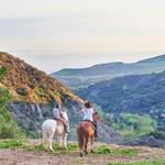 Horseback Riding