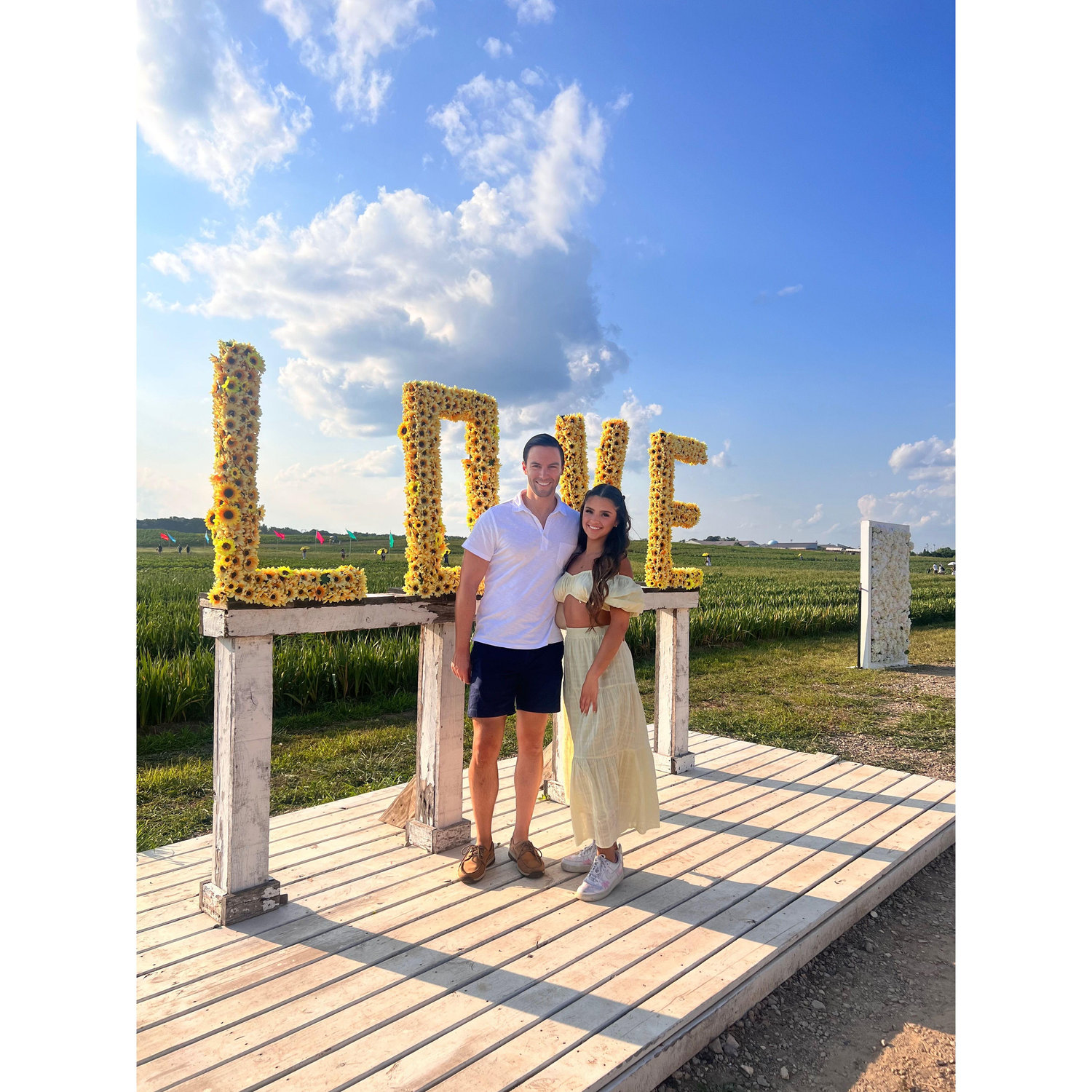Summer Sunflower Date – 2023.