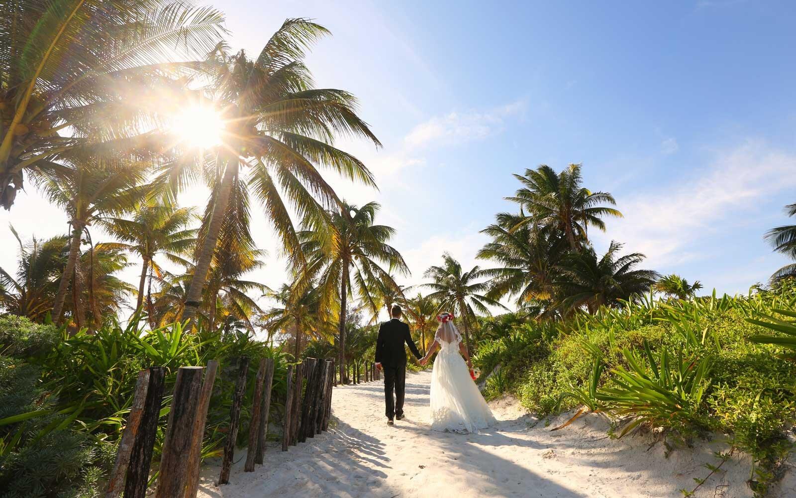 The Wedding Website of n a and n a
